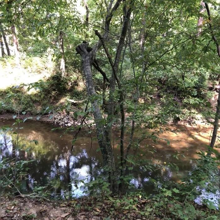 American hornbeam habitat reference